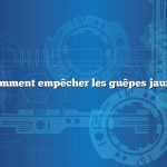 Question : Comment empêcher les guêpes jaunes de nicher